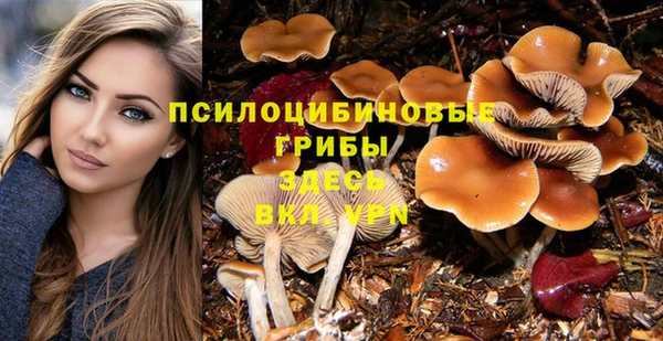 крисы Верхнеуральск