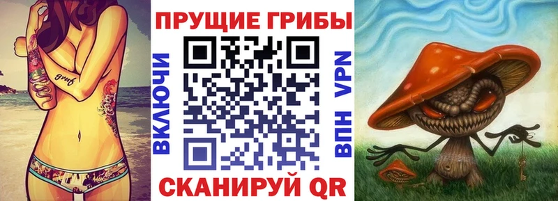 Псилоцибиновые грибы Magic Shrooms  Купить  Тейково 